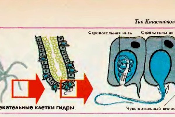 Наркотики заказать