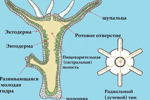 Кракен даркнет рабочая ссылка