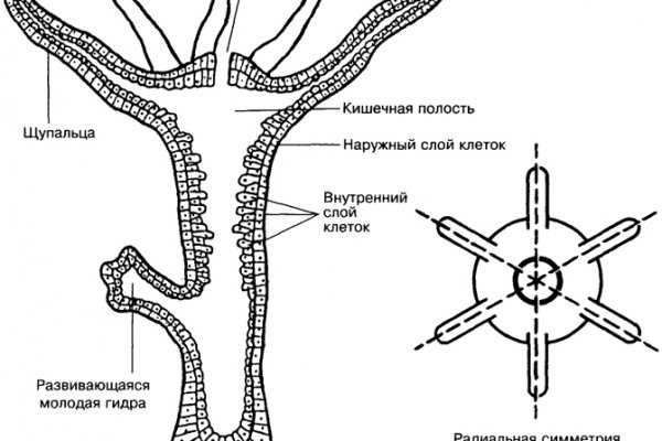 Kra36.cc Вход на сайт главная страница