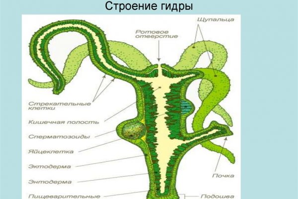 Кракен маркет даркнет только через торг