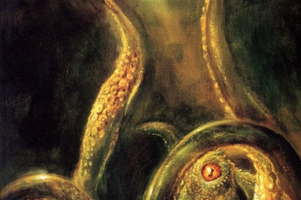 Kraken рабочая ссылка 2025