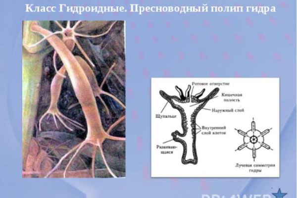 Кракен что можно купить