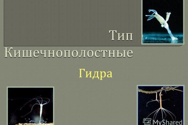 Кракен даркнет поддержка