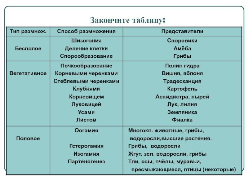 Кракен настоящее зеркало