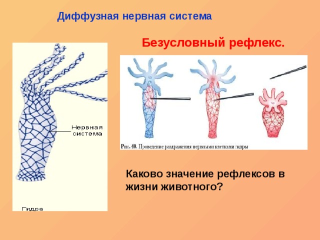 Сайт вместо гидры