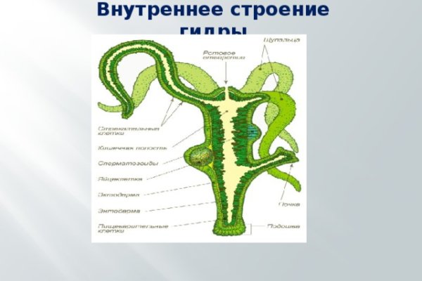 Kra42.at