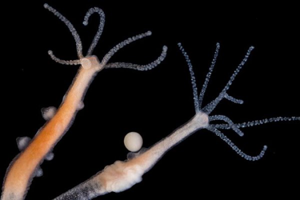 Kraken сайт вход