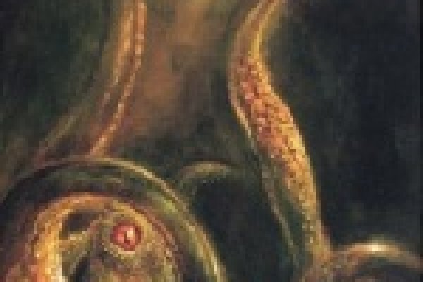 Скрытый интернет как войти