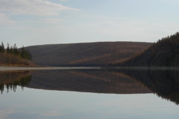 Кракен орг