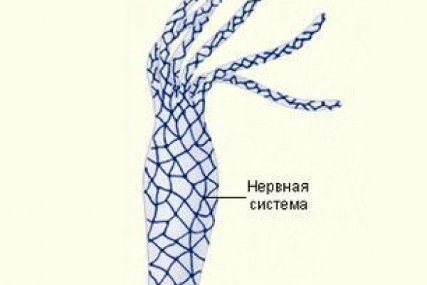 Kra40.at Вход на сайт главная страница